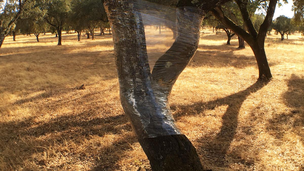 Land art