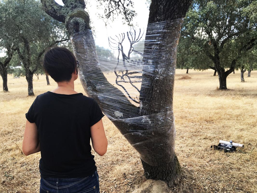 Land art ana fernandes